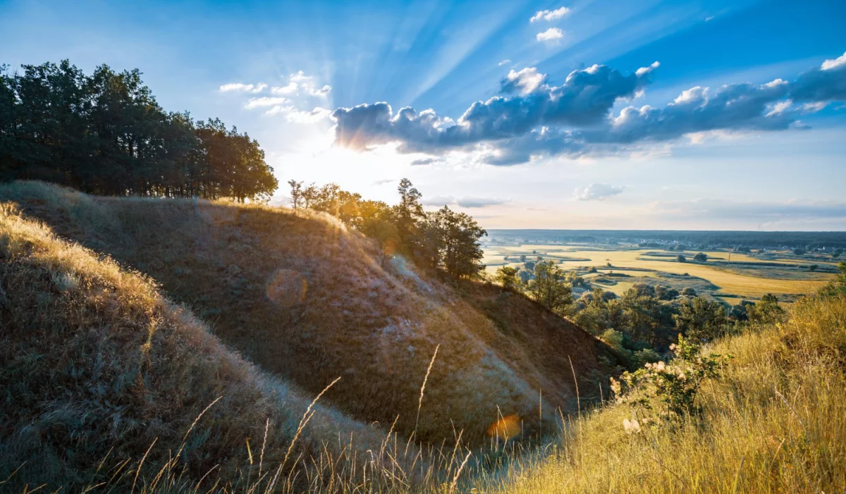 Od kiedy zmiany w tym jak szkolić się?