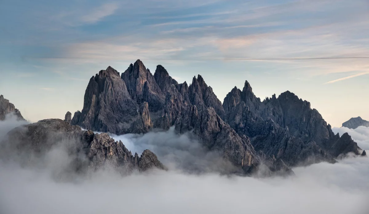 Oni Nie Chcą Abyś Dowiedział Się Jak zjeść w restauracji!