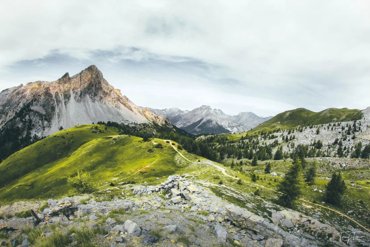 Czy reklamować biznes może każdy?