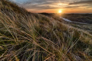 Klimatyzacja w samochodzie - co warto wiedzieć?